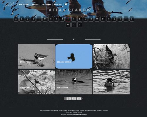 moje ptaki atlas ptakow