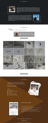 moje ptaki strona glowna