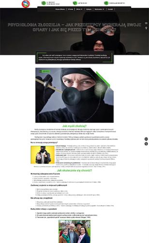 Dreamsites – Strony internetowe dla firm ochroniarskich | SkySecurity